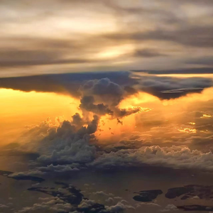 国产精品㊙️密入口果冻
