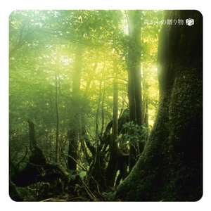 国产精品㊙️密入口果冻
